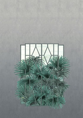 Fototapete Fenster mit Farn und Wand grün grau mit Wand aus dem Baumarkt Berlin online kaufen